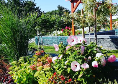 Flamingó Panzió parkja, Etyek - Mocsári hibiszkusz és pompás varjúháj az évelő ágyásban.