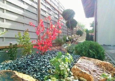 Előkertben Pom Pom növény, alatta évelők és dekorkavics