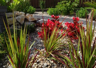 Vöröses végű japán vérfű a kulékavics ágyásban az etyeki Flamingó Panzió parkjában