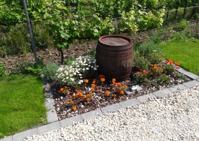 Flamingó Panzió parkja Etyeken - Egynyári virágágyás, közepén egy bor szervírozására is használható hordóval.