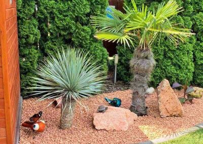 Pálmaágyás sziklákkal és zúzottkő takarással