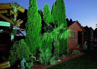 Trópusi pálma ágyás éjszakai fényben