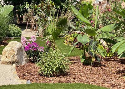 Trópusi ágyásban banánok évelők, pálmák fenyőkéreg talajtakarással