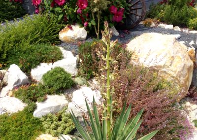 Flamingó Panzió parkja, Etyek - Pompás évelőágyást varjúhájjal, mocsári hibiszkusszal, kokárdavirággal és spirálra nyírt örökzölddel.