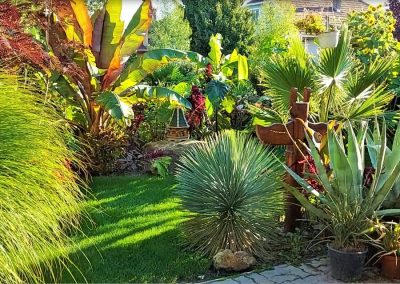 Ez egy izgalmas, buja trópusi dzsungel kert.